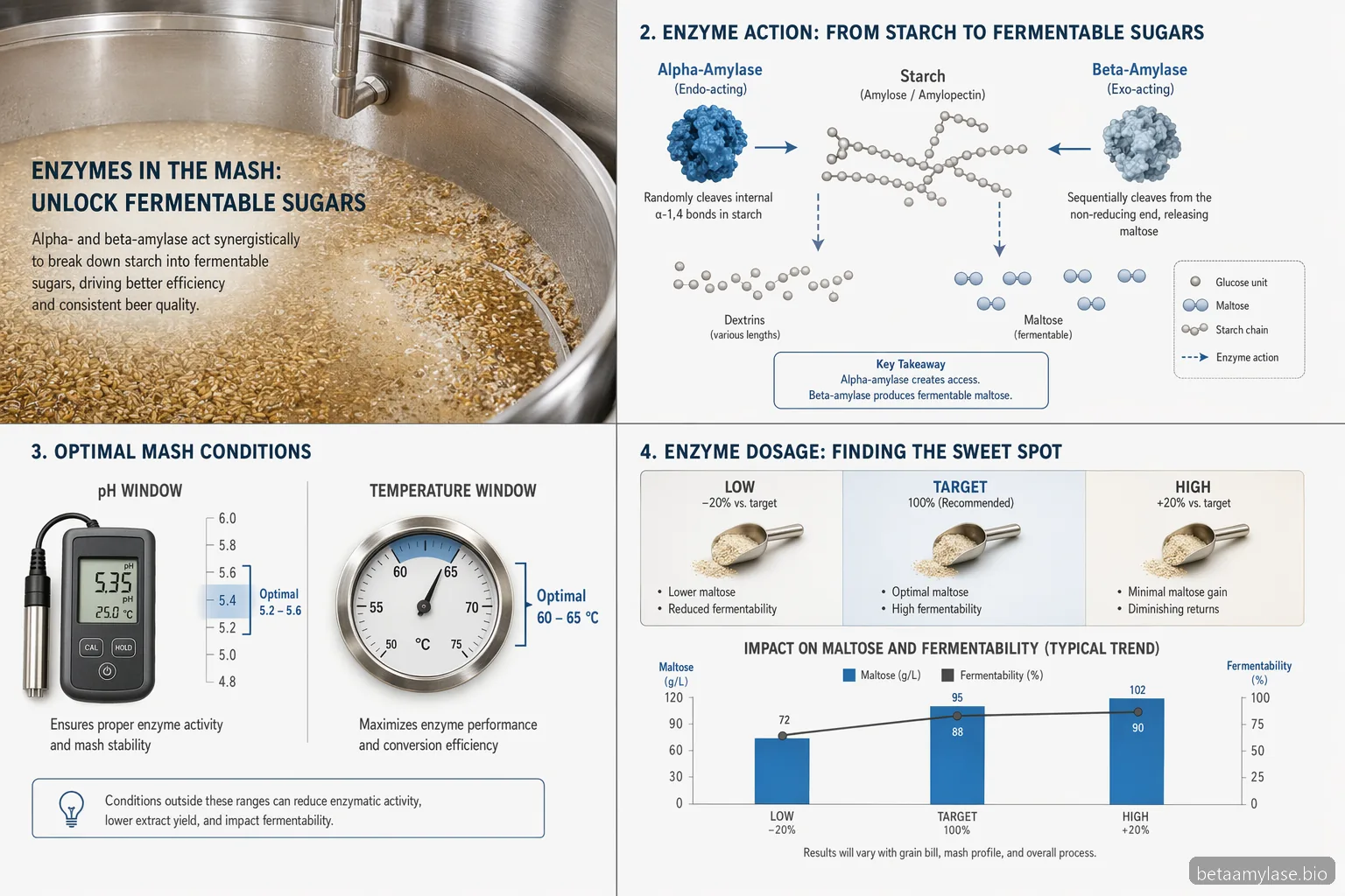 alpha beta amylase brewing guide: maltose yield, fermentability, mash pH, temperature, and dosage cues